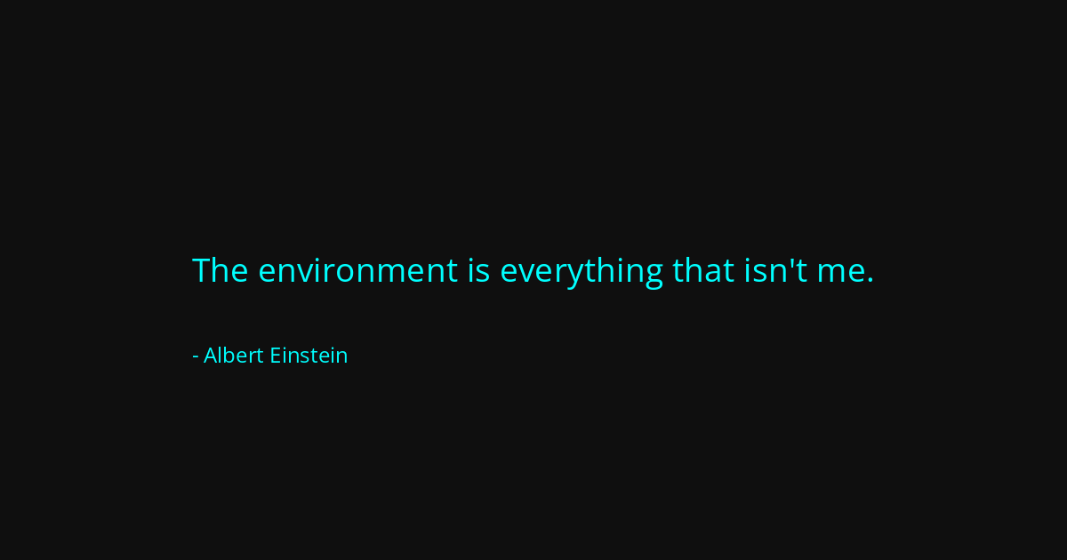 Quote by Albert Einstein