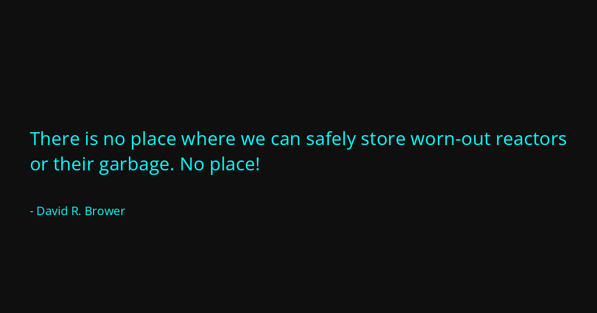 Quote by David R. Brower